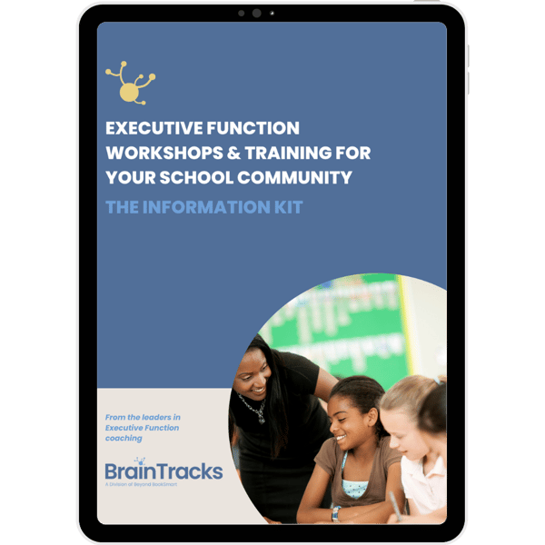 BrainTracks website images