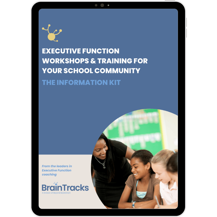 BrainTracks website images